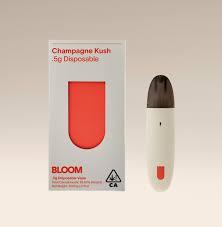 Photograph of product: Bloom Surf - Disposable - Champagne Kush - 1G