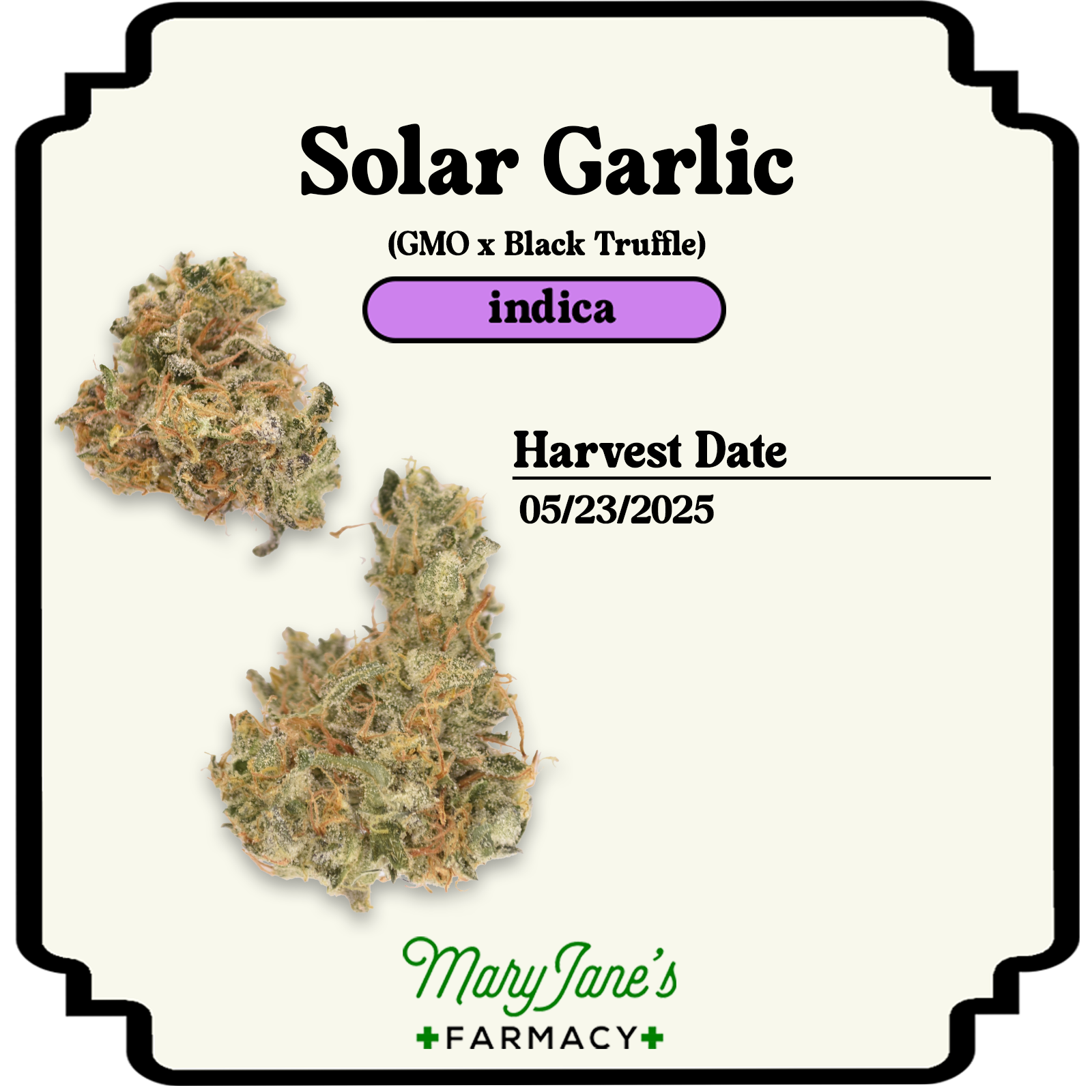Photograph of product: Solar Garlic Pre-roll | .5g