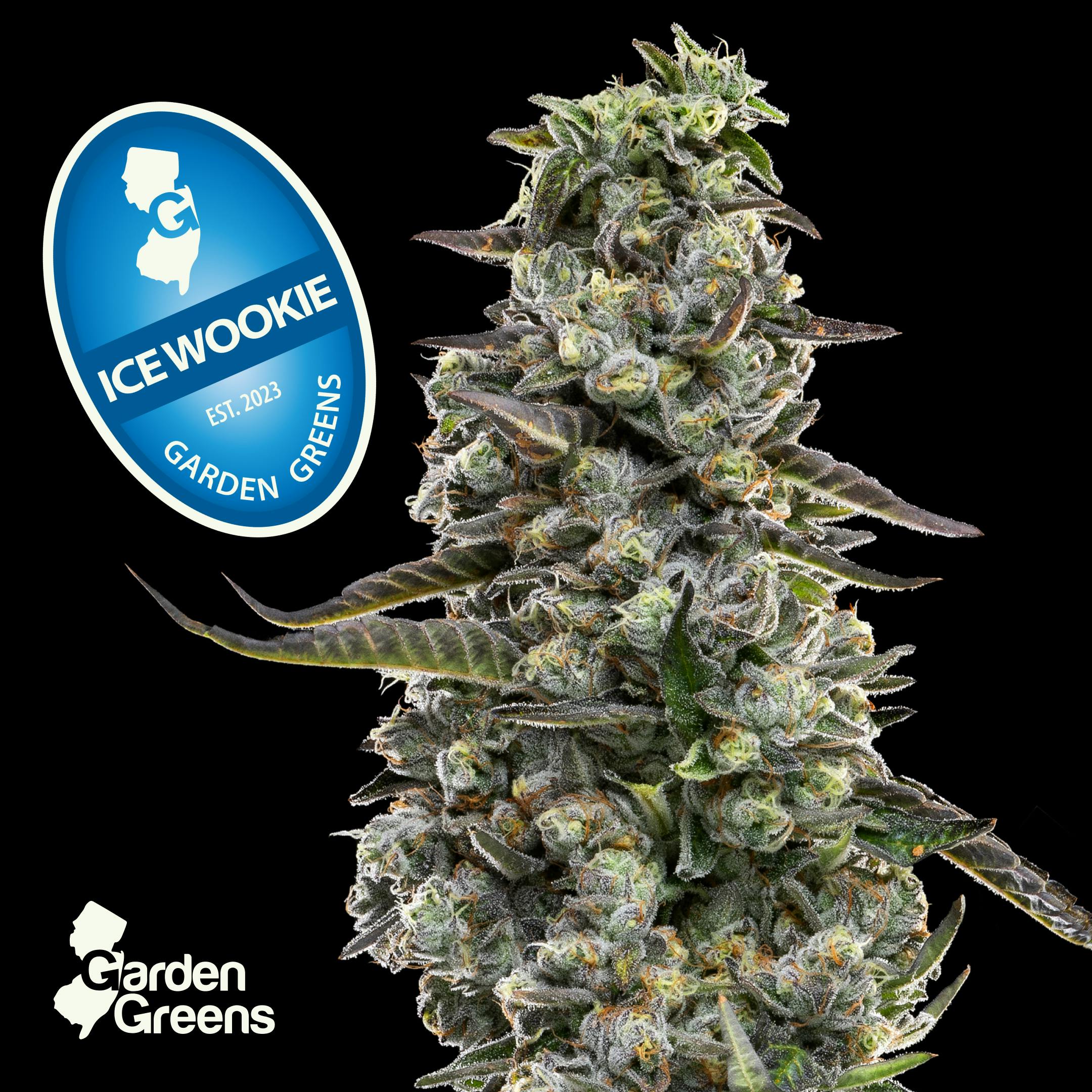 Photograph of Product: Ice Wookie I 14g I Mixed Nugs I Garden Greens