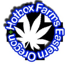 Photograph of product: T Shirt Hotbox Farms White & Green (S)