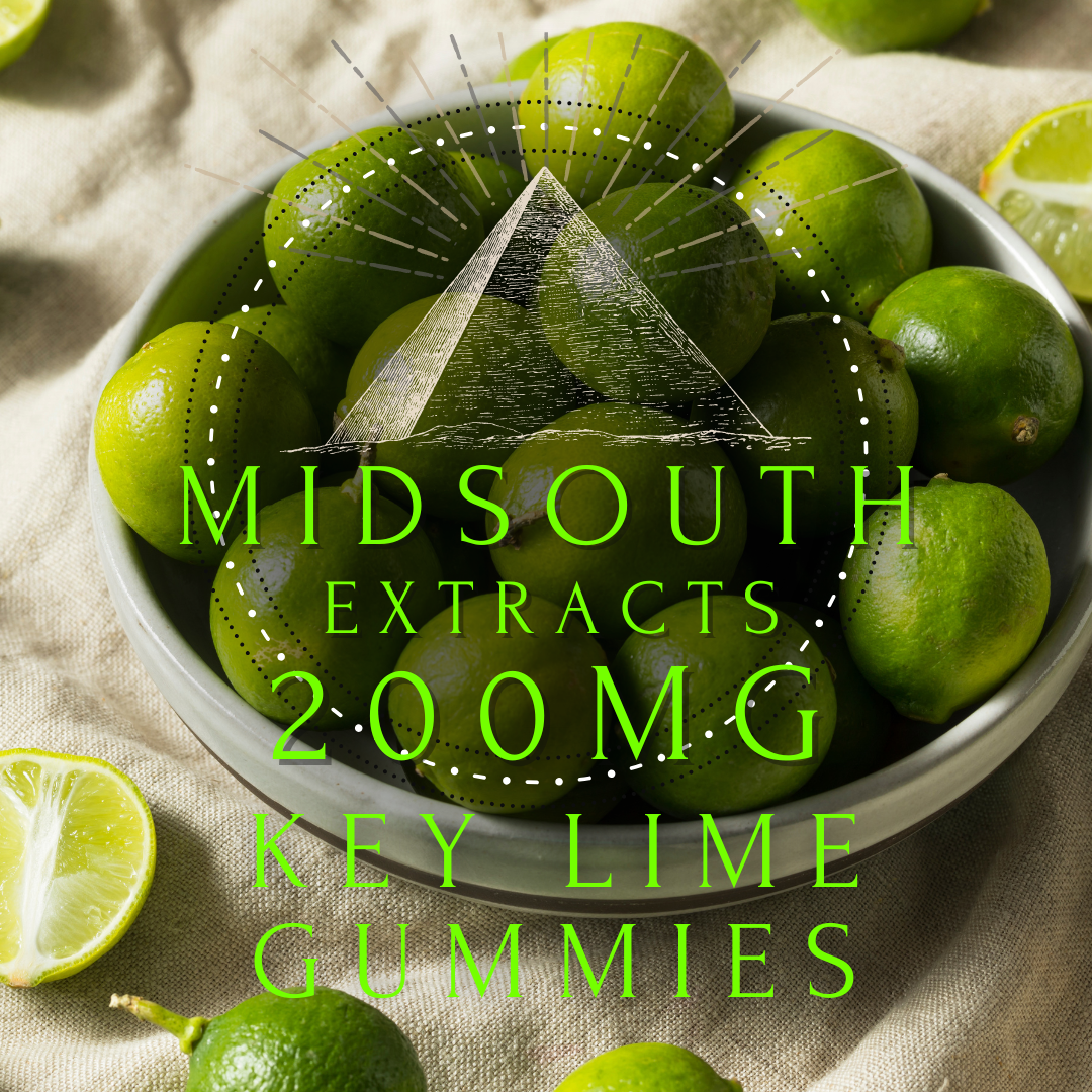 Photograph of product: Key Lime Nano | Gummies 200mg