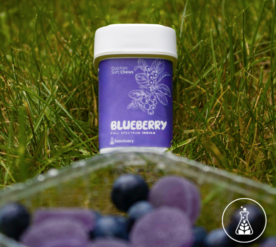 Photograph of product: Blueberry (Oui'd) Fast-Acting Gummies 100mg 20pk