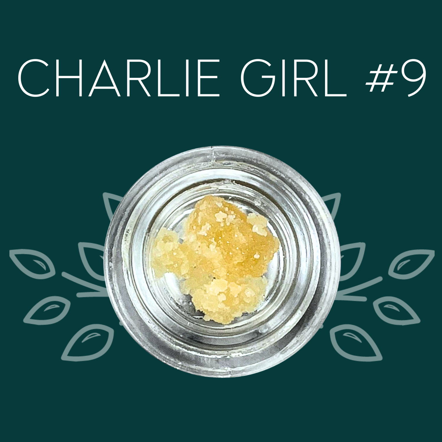 Photograph of product: Vana | Charlie Girl #9 | Sugar