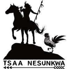 Photograph of product: Tsaa Nesunkwa | Flower | Gush Mints - 3.5g