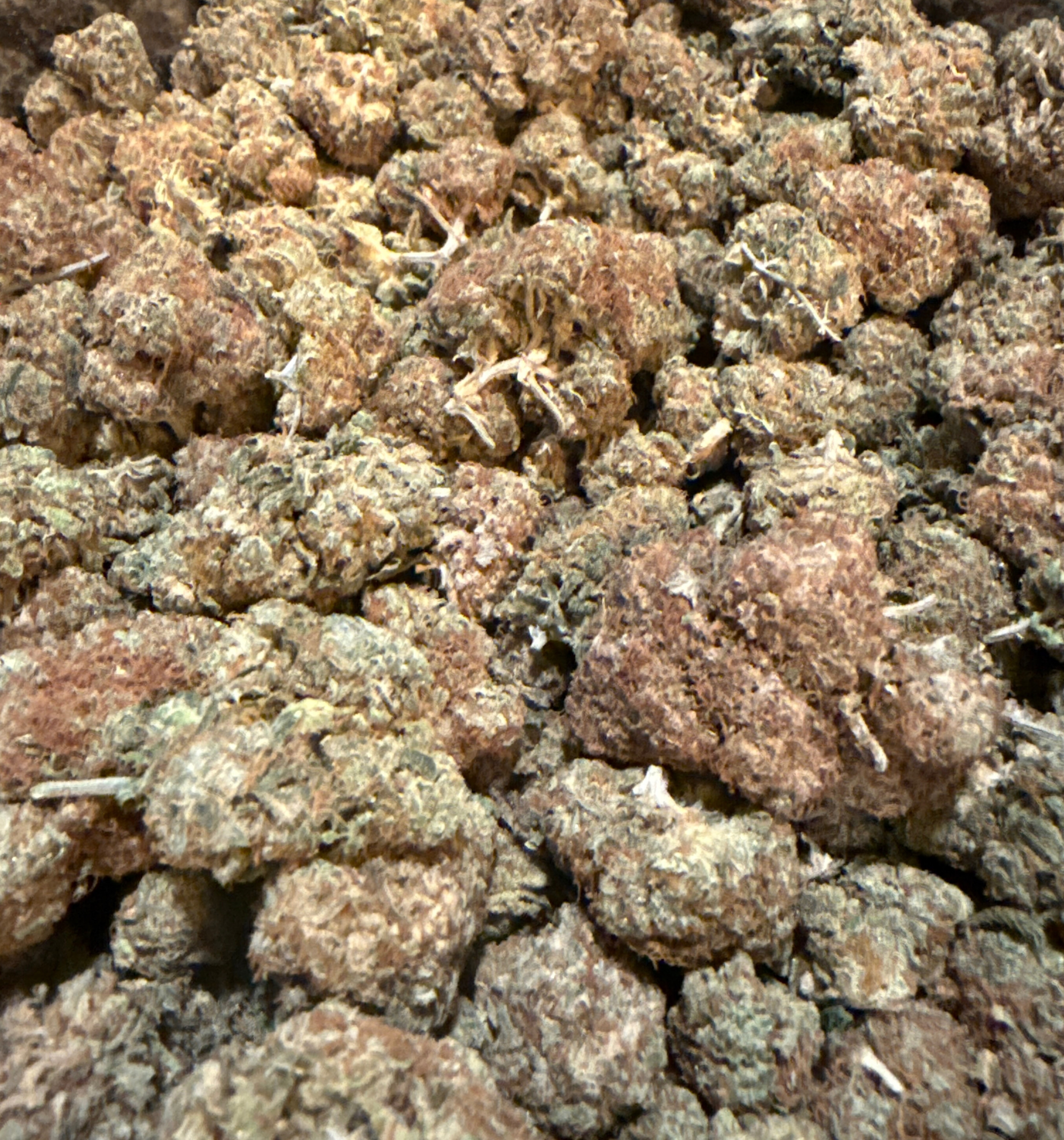 Photograph of product: La Belva | MIA Runtz 3.5g Pre Pack