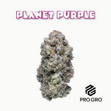 Photograph of product: Pro Gro | Planet Purple | Deli-Style Flower - 28g