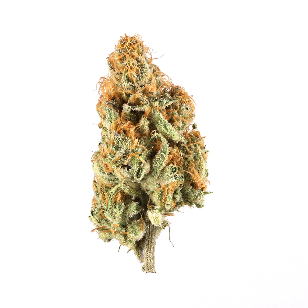 Photograph of product: Creamsicle Kush | Pre-Pack - 28g