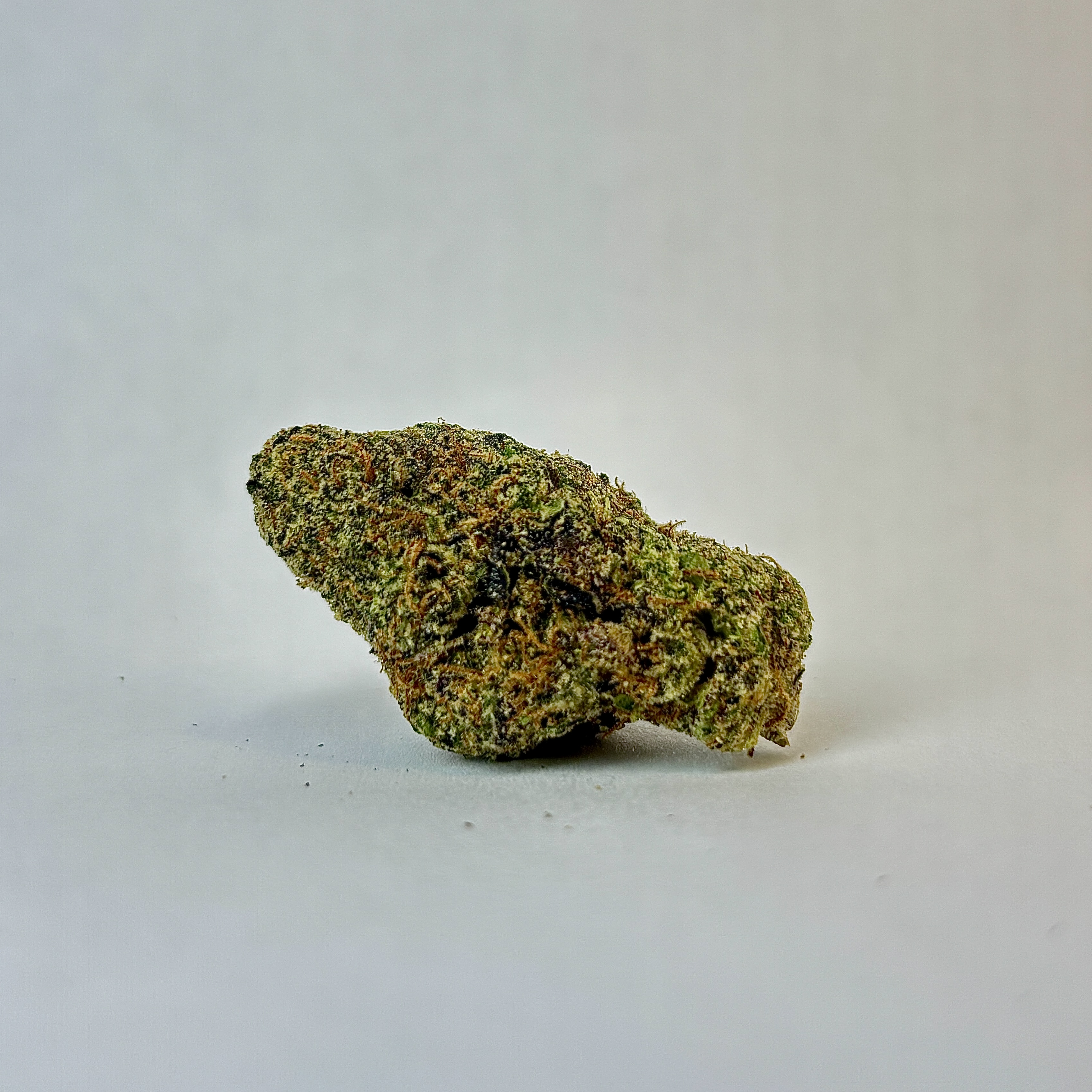 Photograph of Product: BlackMaple-Flower-|Indica-Dominant|HRBD - 1g