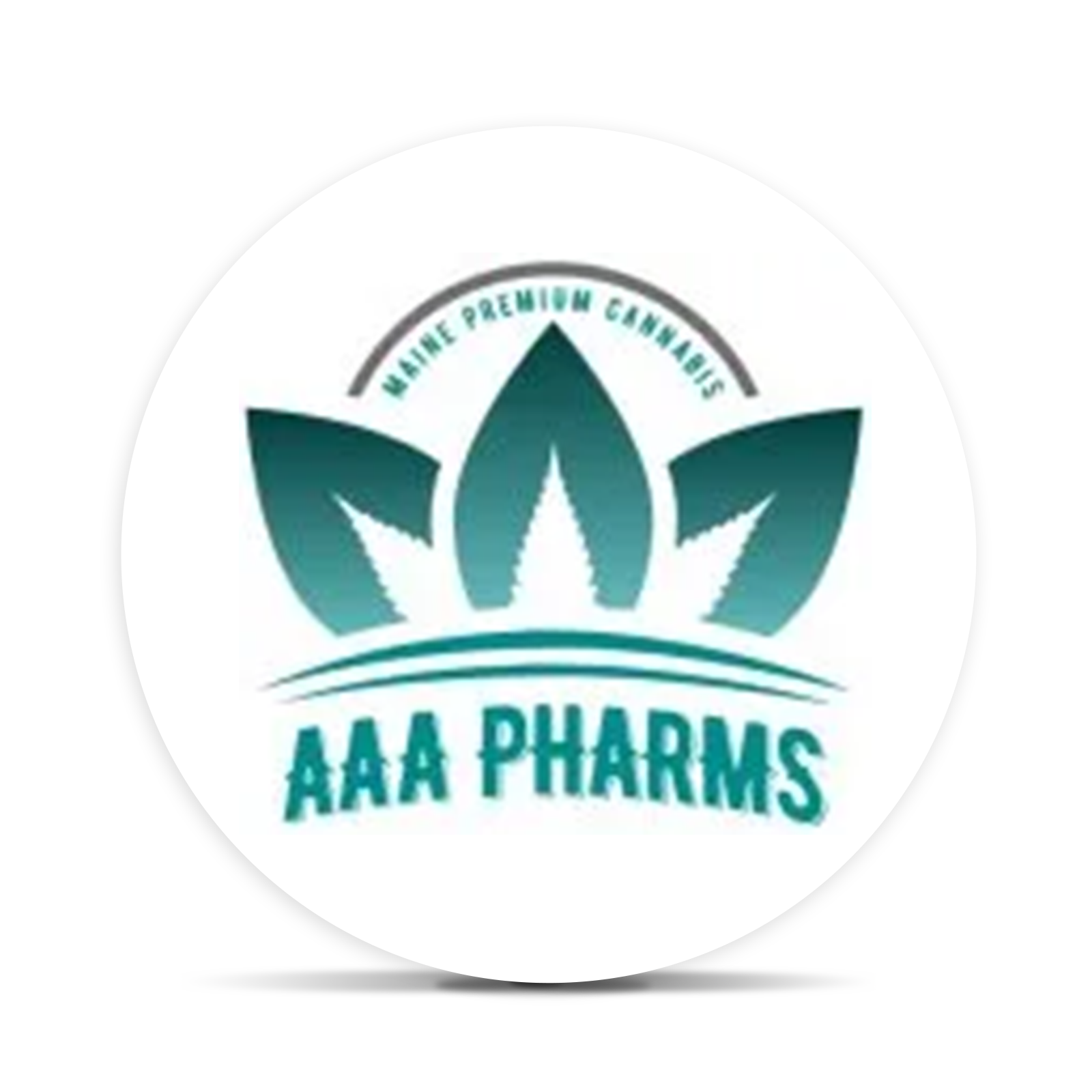 Logo for img-fluid: AAA Pharms