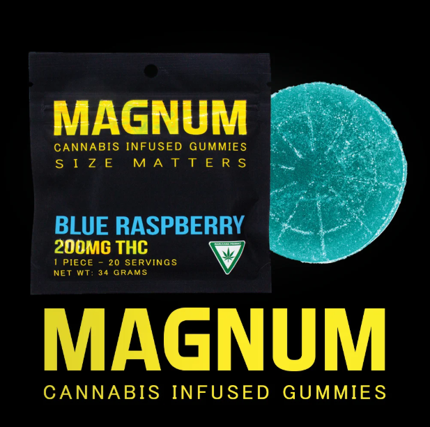 Photograph of product: Magnum | One Bite 200mg | Blue Raspberry | Hybrid 200mg