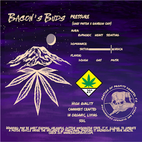 Photograph of product: Bacon's Buds: Pressure 2pk/