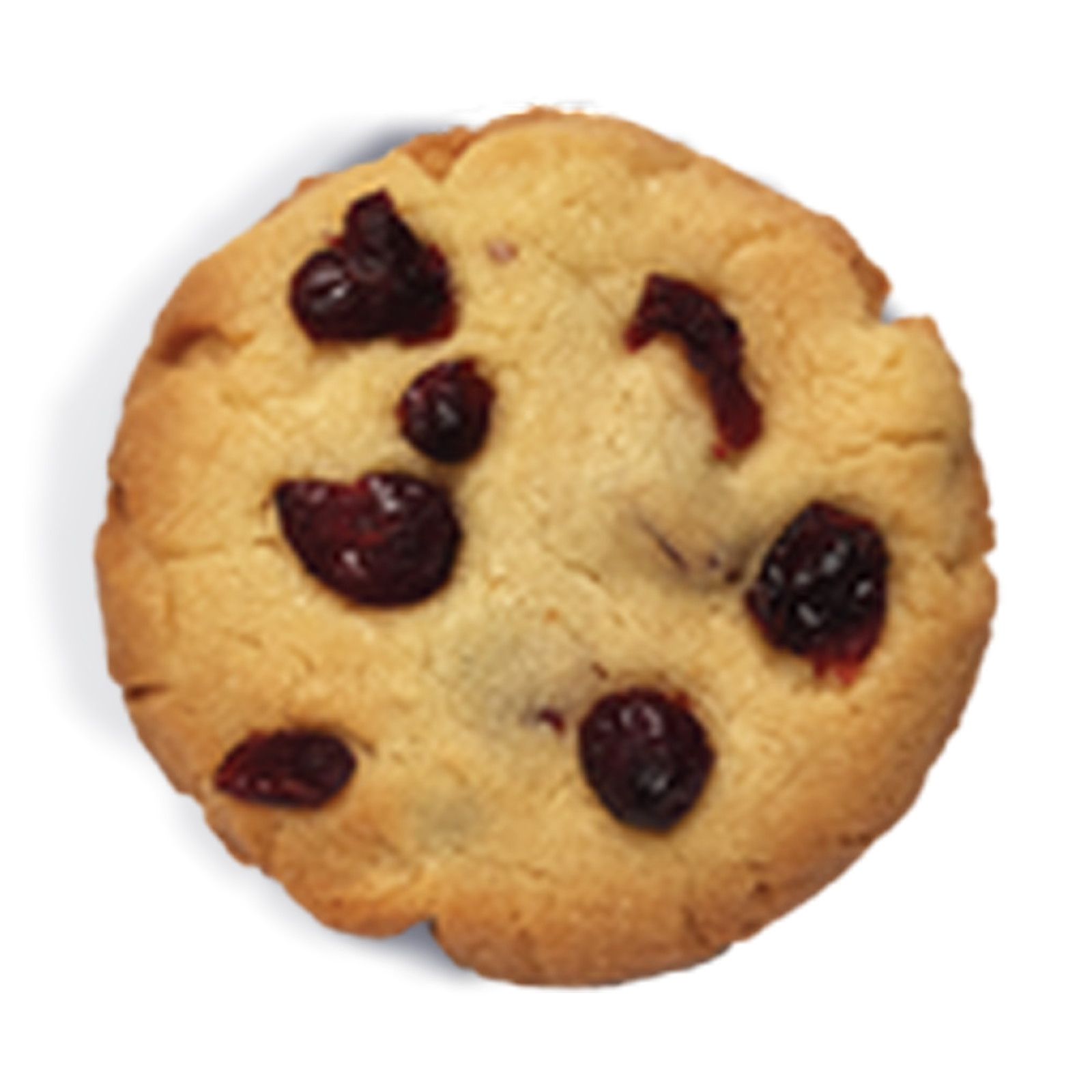 Photograph of product: HWS | 100mg Cookie | Oatmeal Raisin