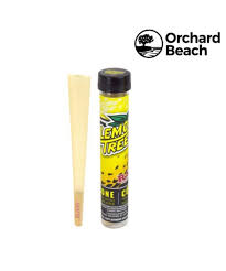 Photograph of product: Cones | 1pk | Lemon Tree | Orchard Beach
