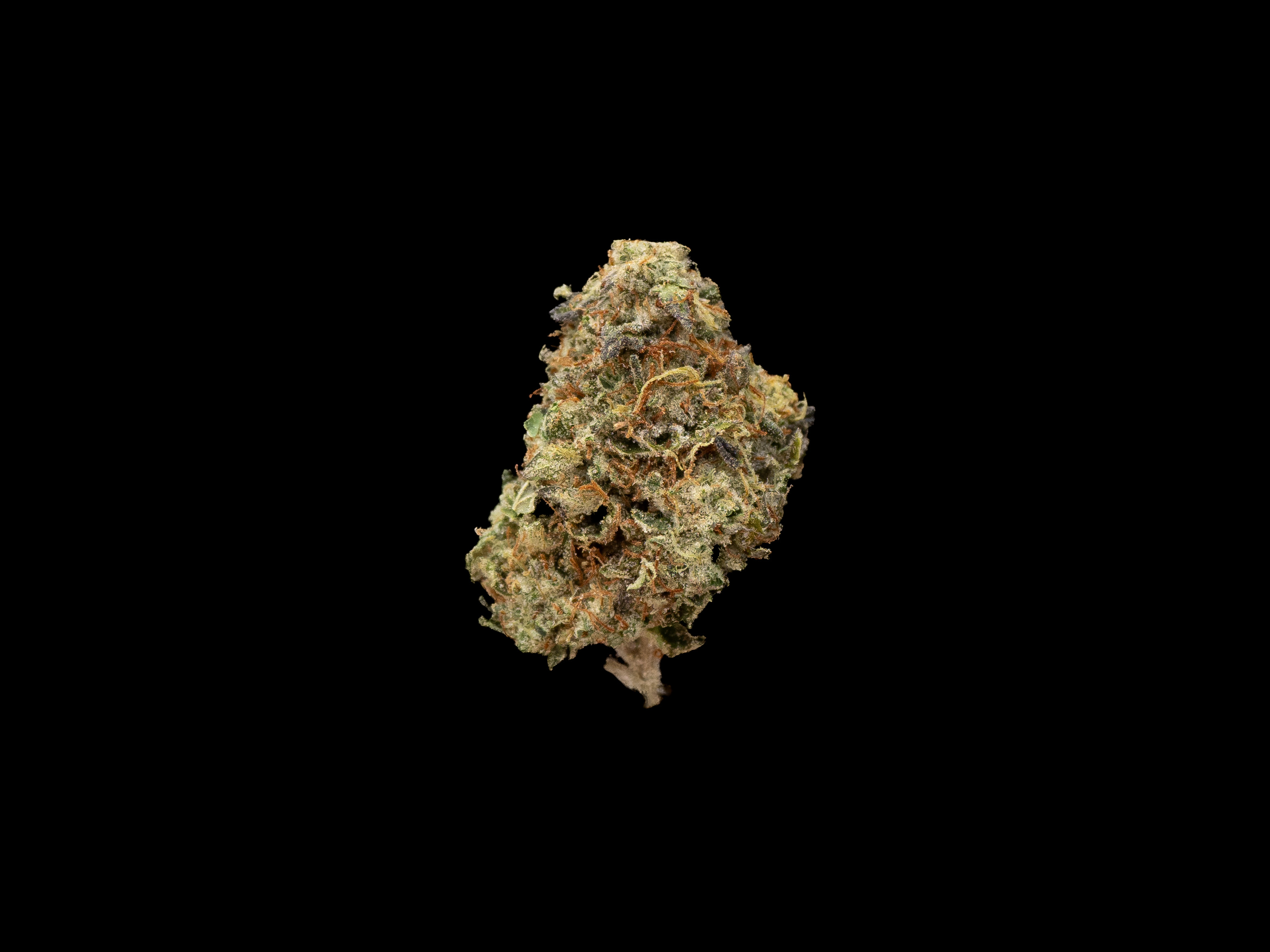 Photograph of product: Animal Cookies x Chem 91  - Bulk Flower - 28g