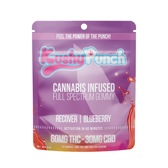 Photograph of product: Blueberry | 2:1 CBD | 90mg Gummy