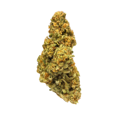 Photograph of product: Lemon Fiesta | Deli-Style Flower - 1g