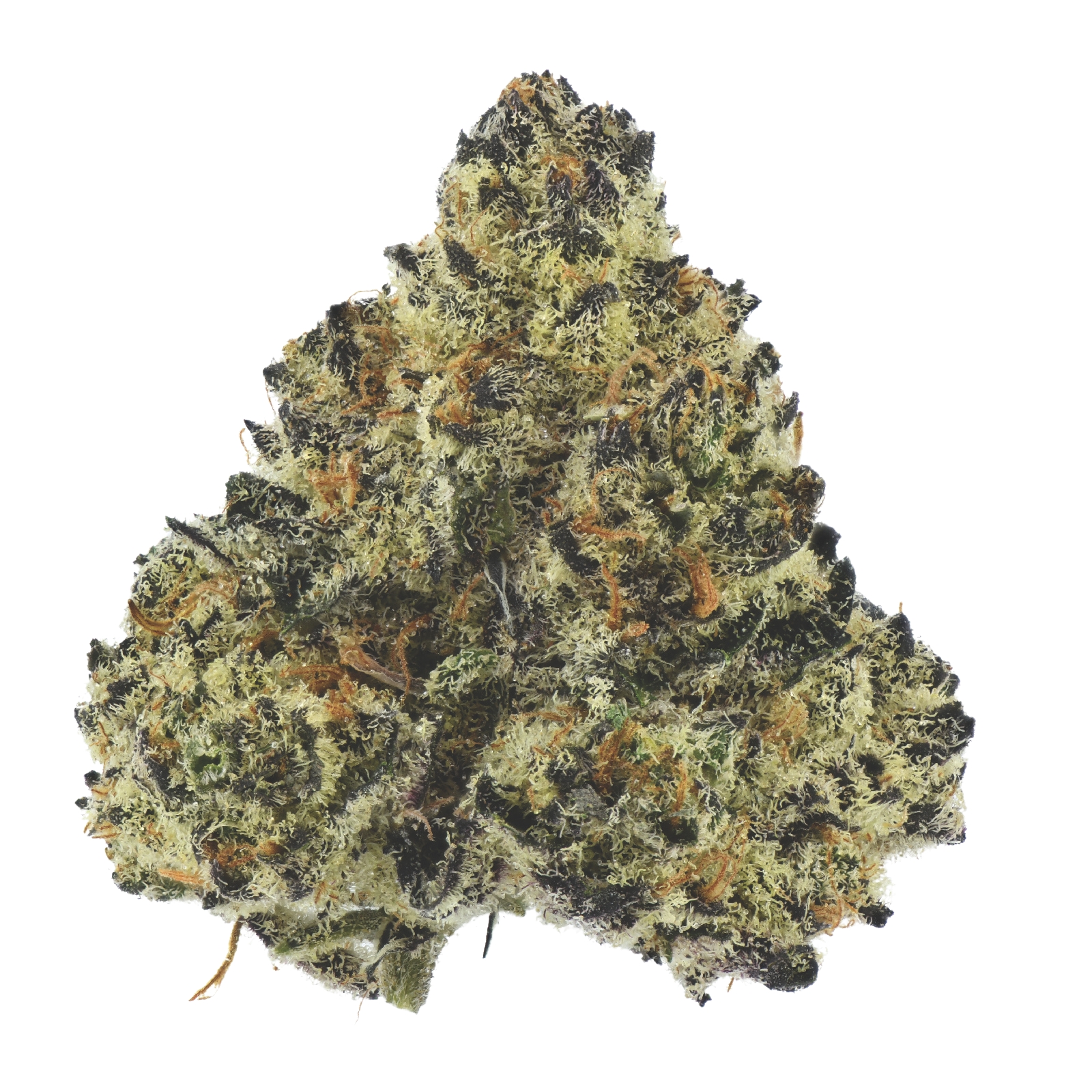 Photograph of product: FENO | Pure Michigan - 1g