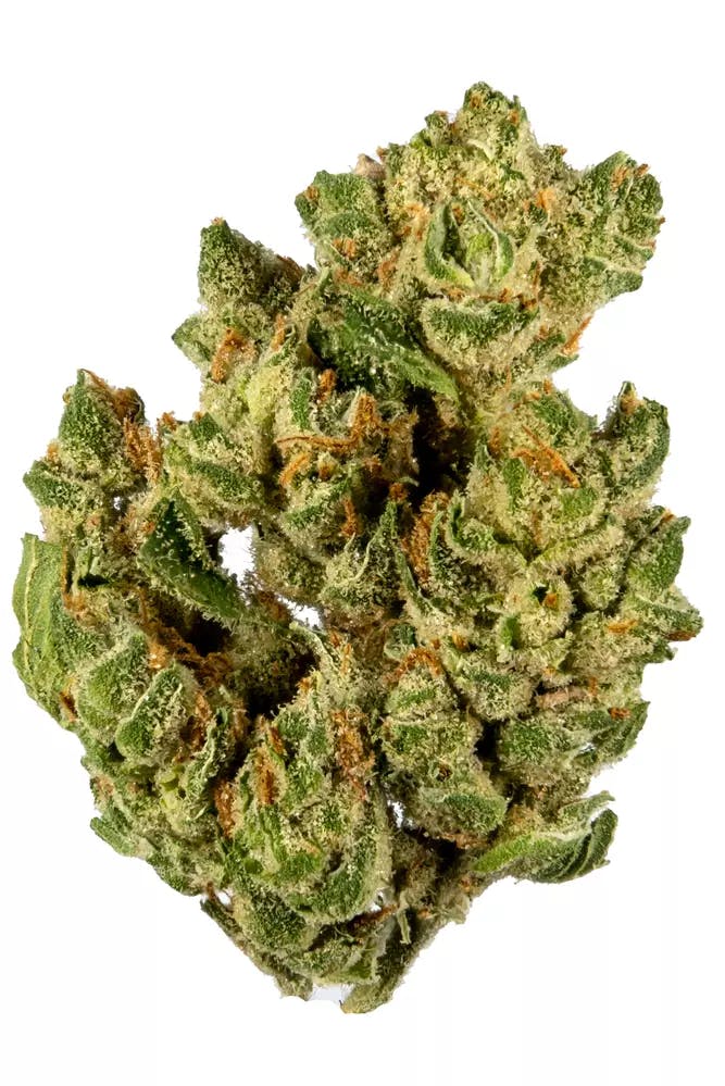 Photograph of product: Sira Naturals Banana OG (I-H) 3.5g