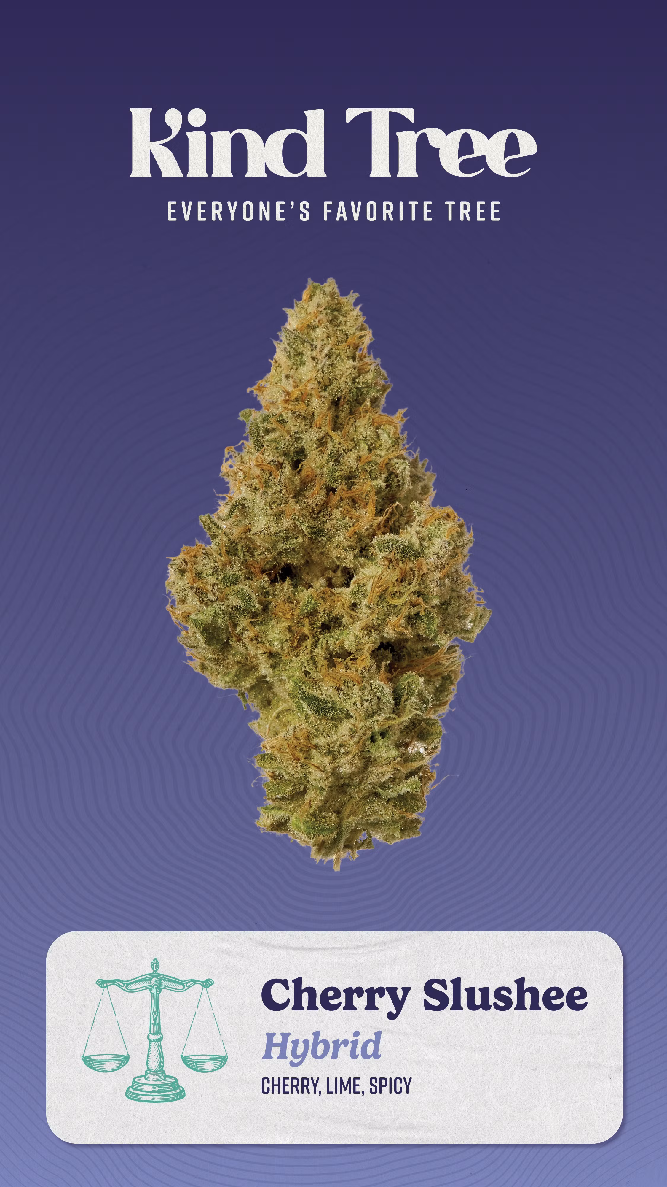 Photograph of product: Cherry Slushee | Kind Tree 3.5g Flower