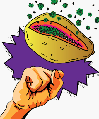 Photograph of product: Papaya Punch - 3.5g