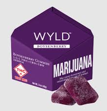 Photograph of product: Boysenberry  1:1:1 CBD/CBN Gummies (100mg)