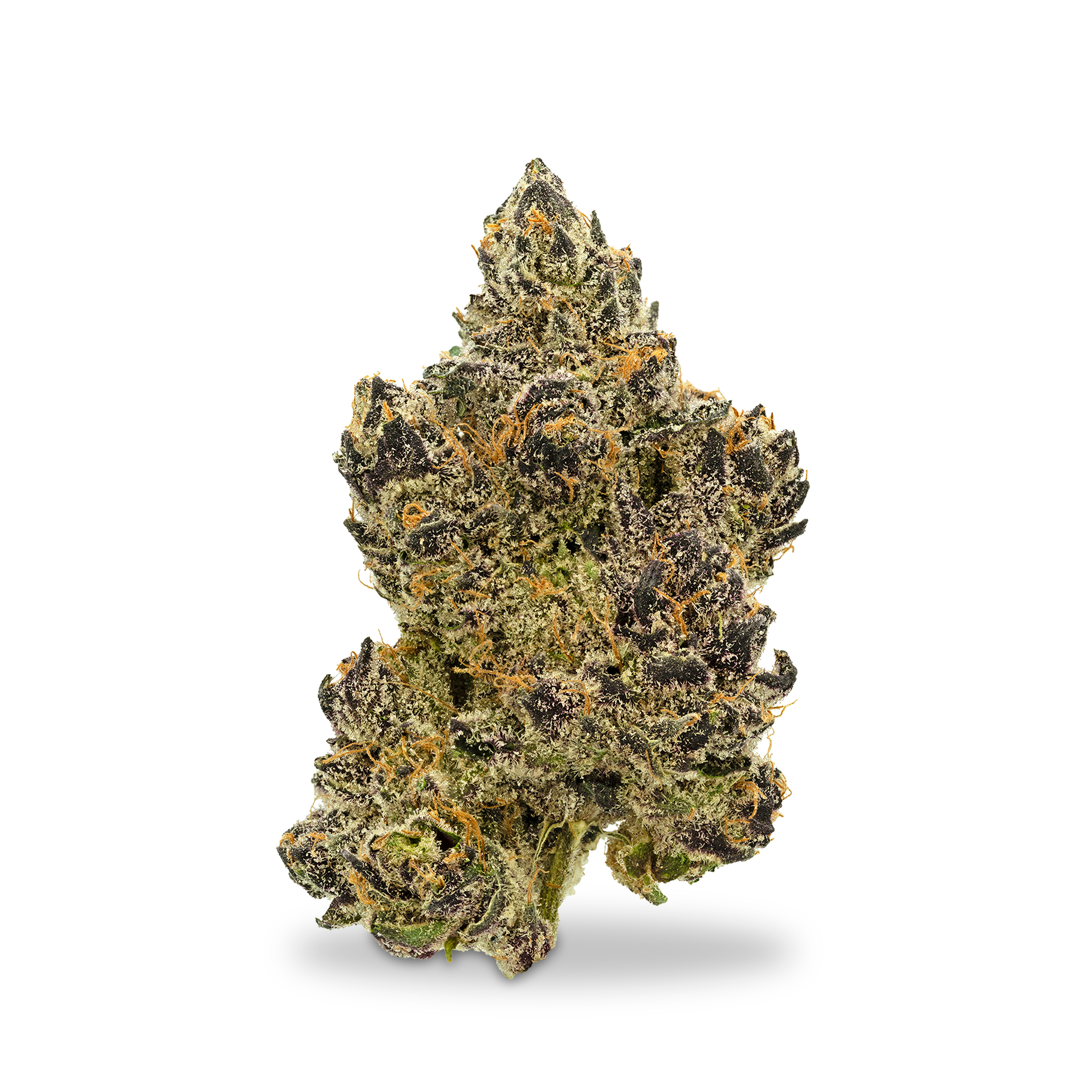 Photograph of product: Rosebud - Gary Runtz - 1g