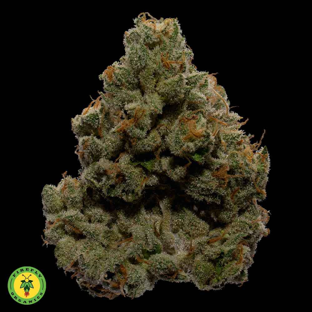 Photograph of product: Candy Fumez 1g - Firefly Organics