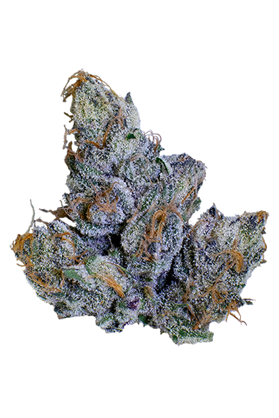 Photograph of product: Fractal | Speaker Knockerz Pre-Pack Flower - 3.5g