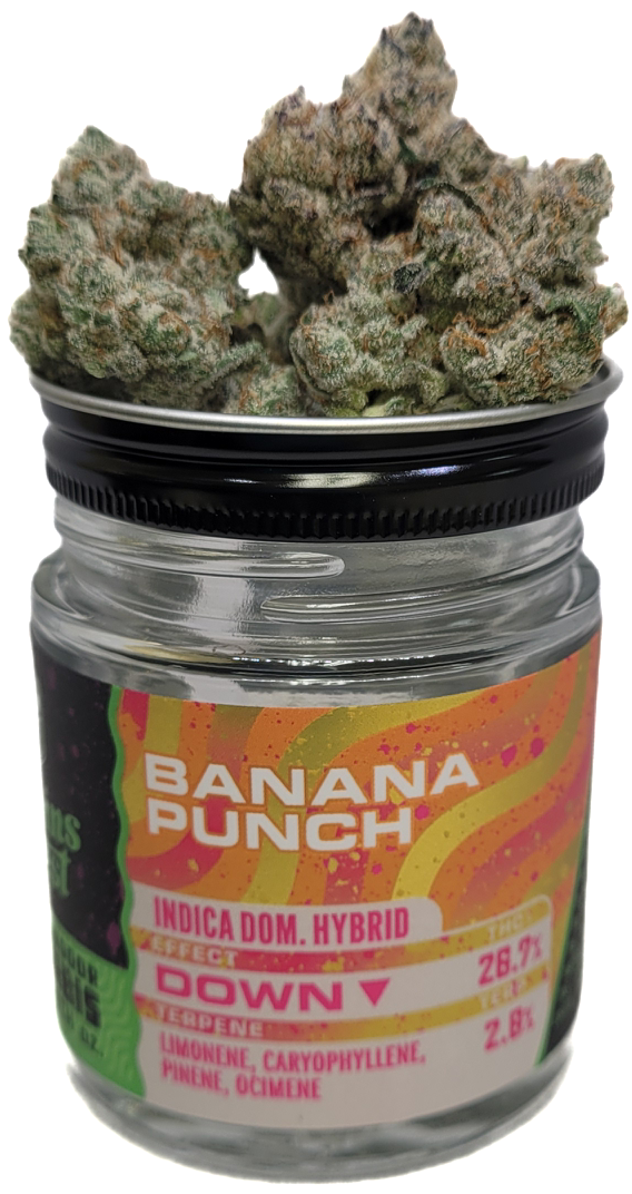 Photograph of product: Banana Punch Jar | Forbins Finest - 3.5g