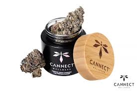 Photograph of product: Cannect Wellness S'more Cookies - 3.5g
