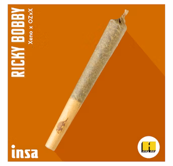 Photograph of product: INSA | Ricky Bobby | 1g Pre Roll