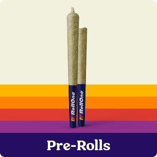 Photograph of product: Groovy Diesel - 2 Pack