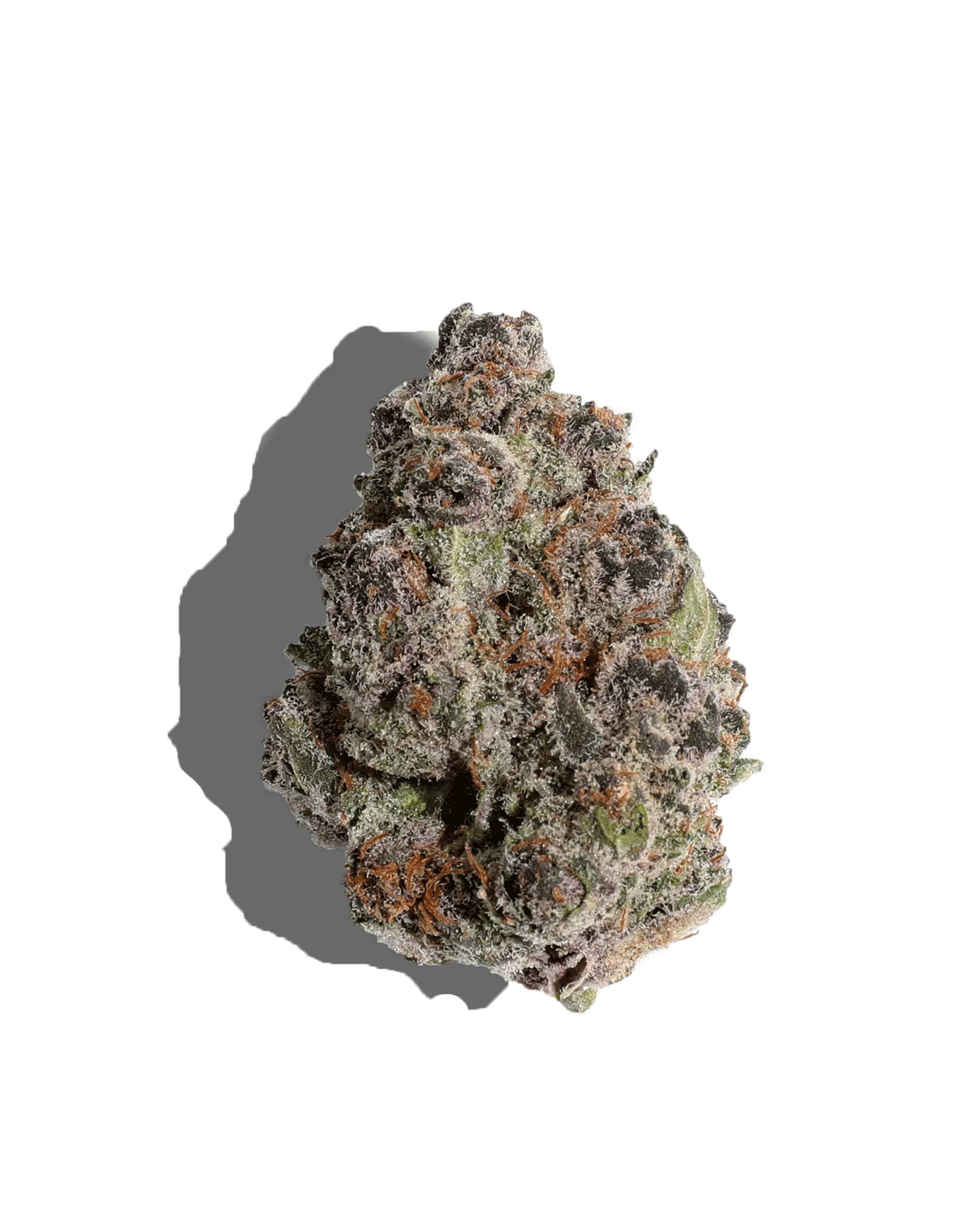 Photograph of Product: Flo l Flower RS11 X Trop Cherry 28G