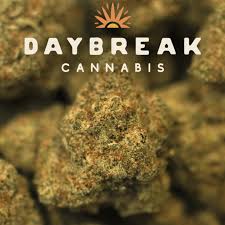 Photograph of product: DAYBREAK - LIT PINEAPPLE 0.5G PRE-ROLL 2 PACK