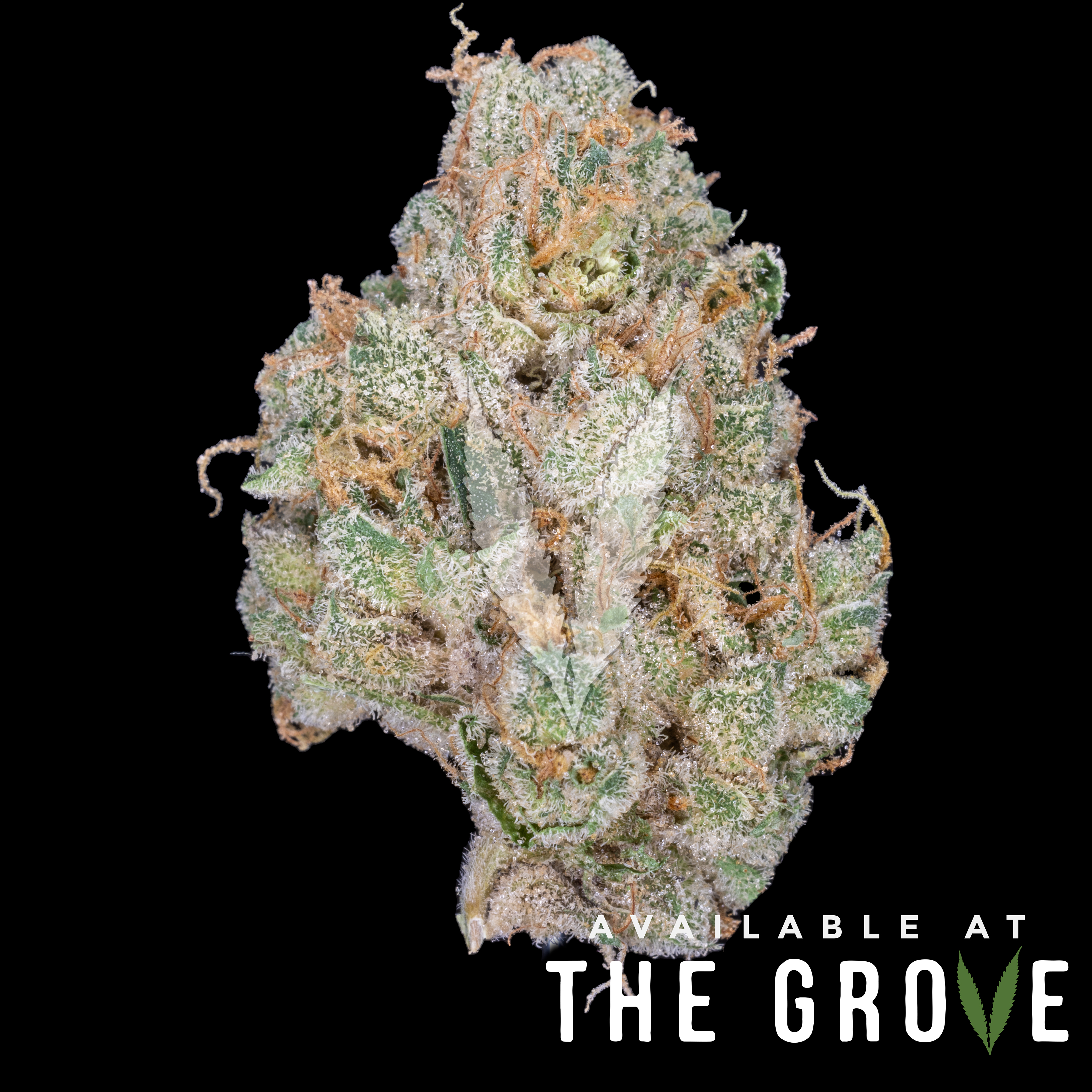 Photograph of product: CBX | GMUH-OH 1/8th - 3.5g