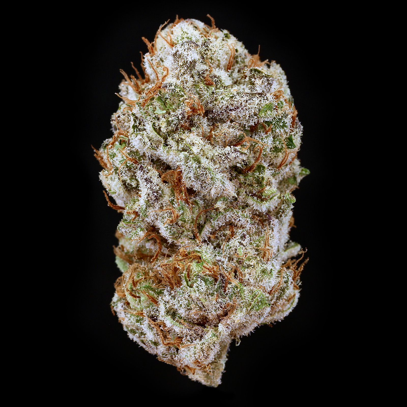 Photograph of product: GL Bud | Banana Punch - 28g