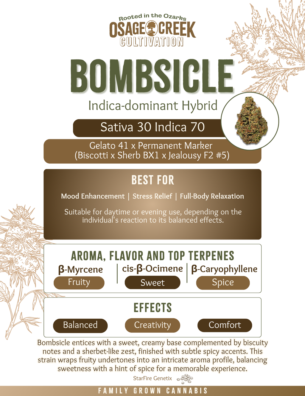 Photograph of product: Bombsicle Popcorn - 14g