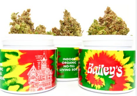 Photograph of product: Bailey's Buds | Tangimal 3.5g Flower