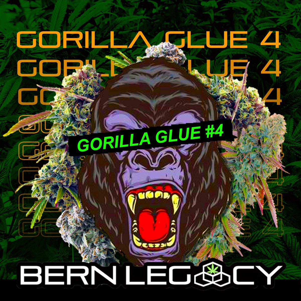 Photograph of product: Bern Legacy | GG#4 | Bulk Flower - 28g