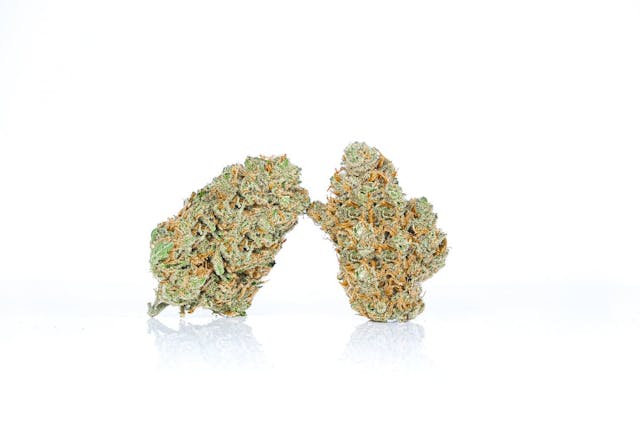 Photograph of product: Super Lemon Haze | 14g Flower - 