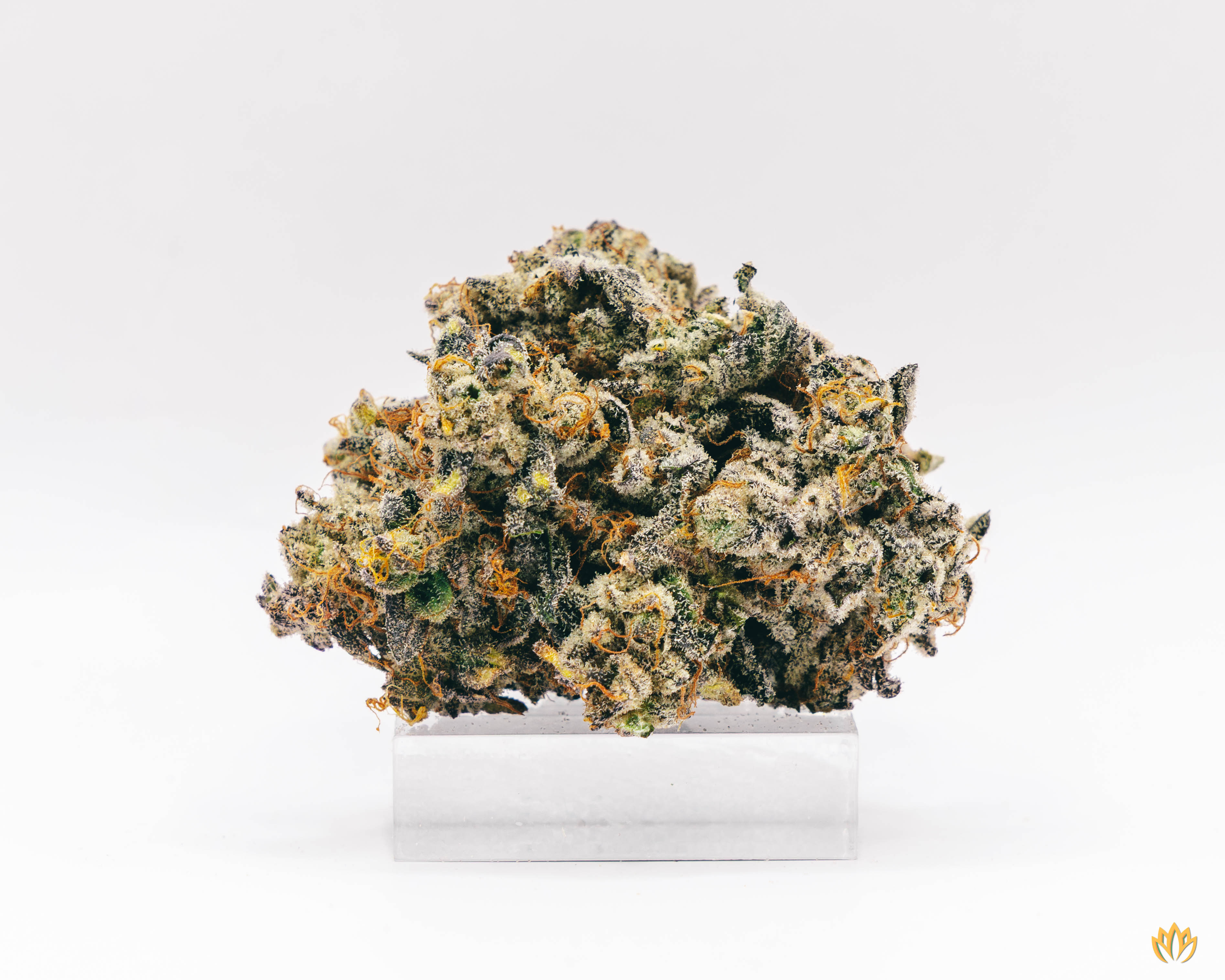 Photograph of product: Bully Kush - Display - 3.5g