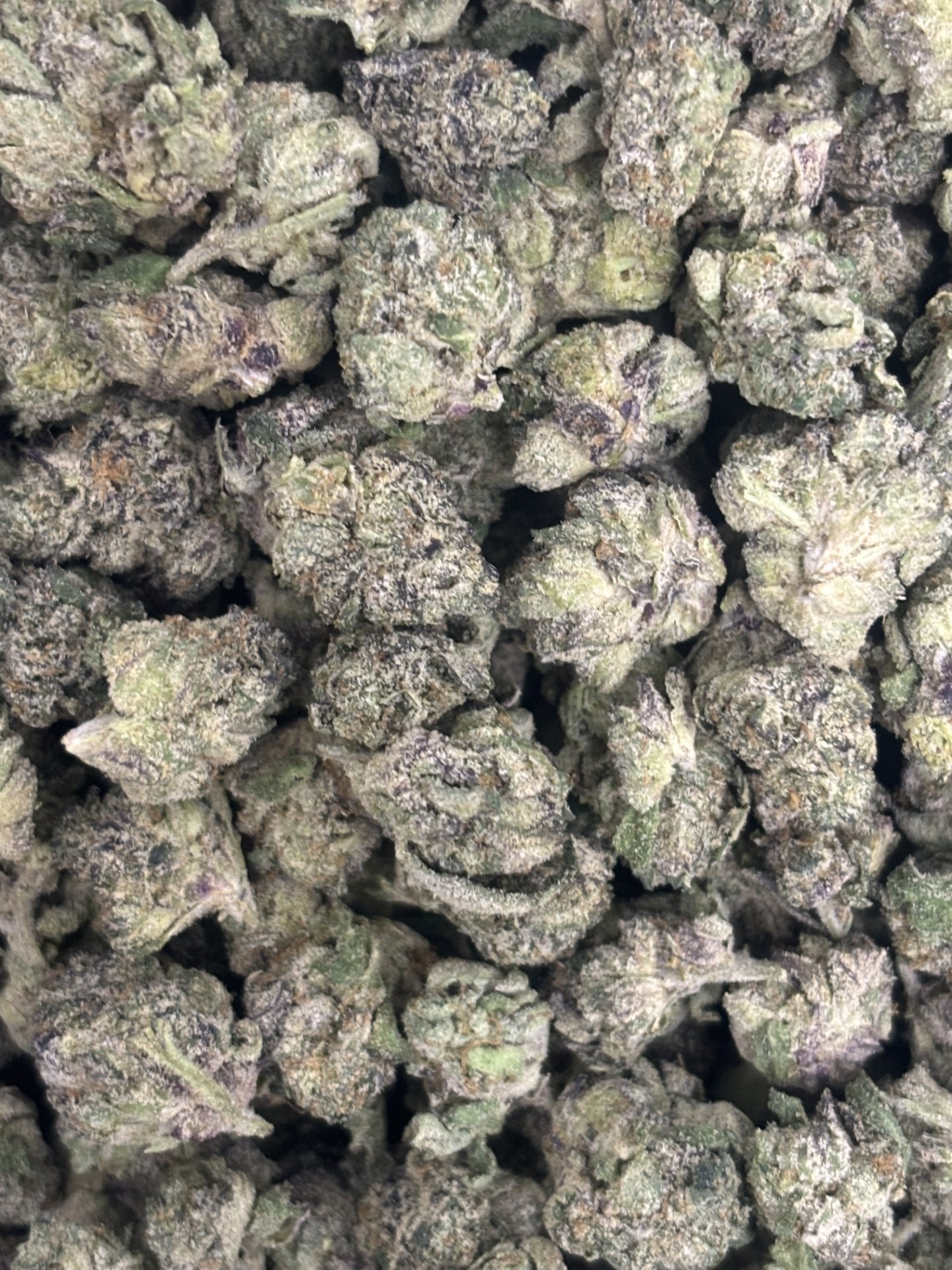 Photograph of product: Sherb Cream Pie (H-I) 28.3% (DELI) - 28g