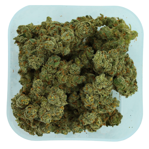 Photograph of product: Jack Herer Reserve Flower Jack Herer - 28g