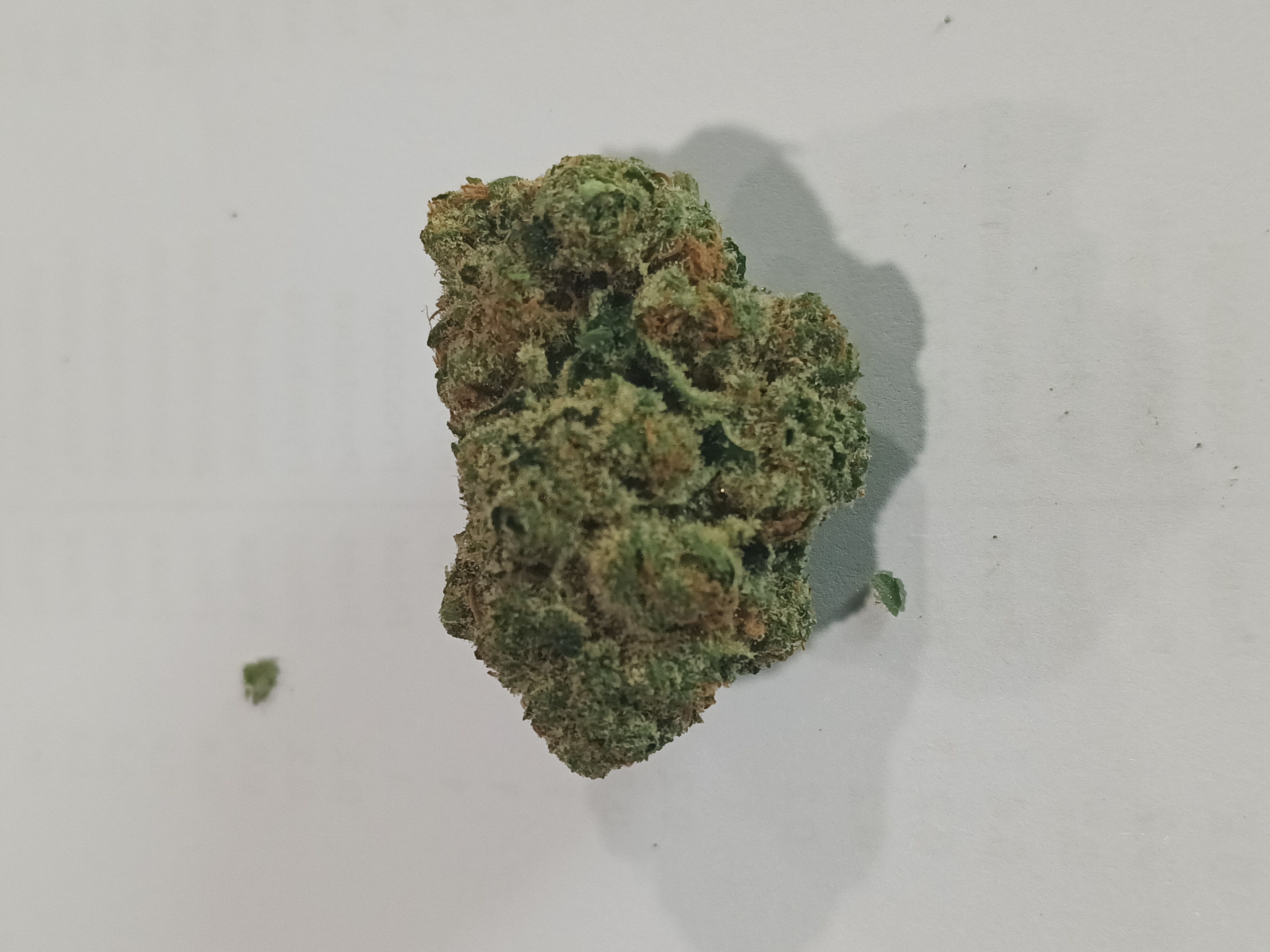 Photograph of product: Red Velvet Runtz pre-roll