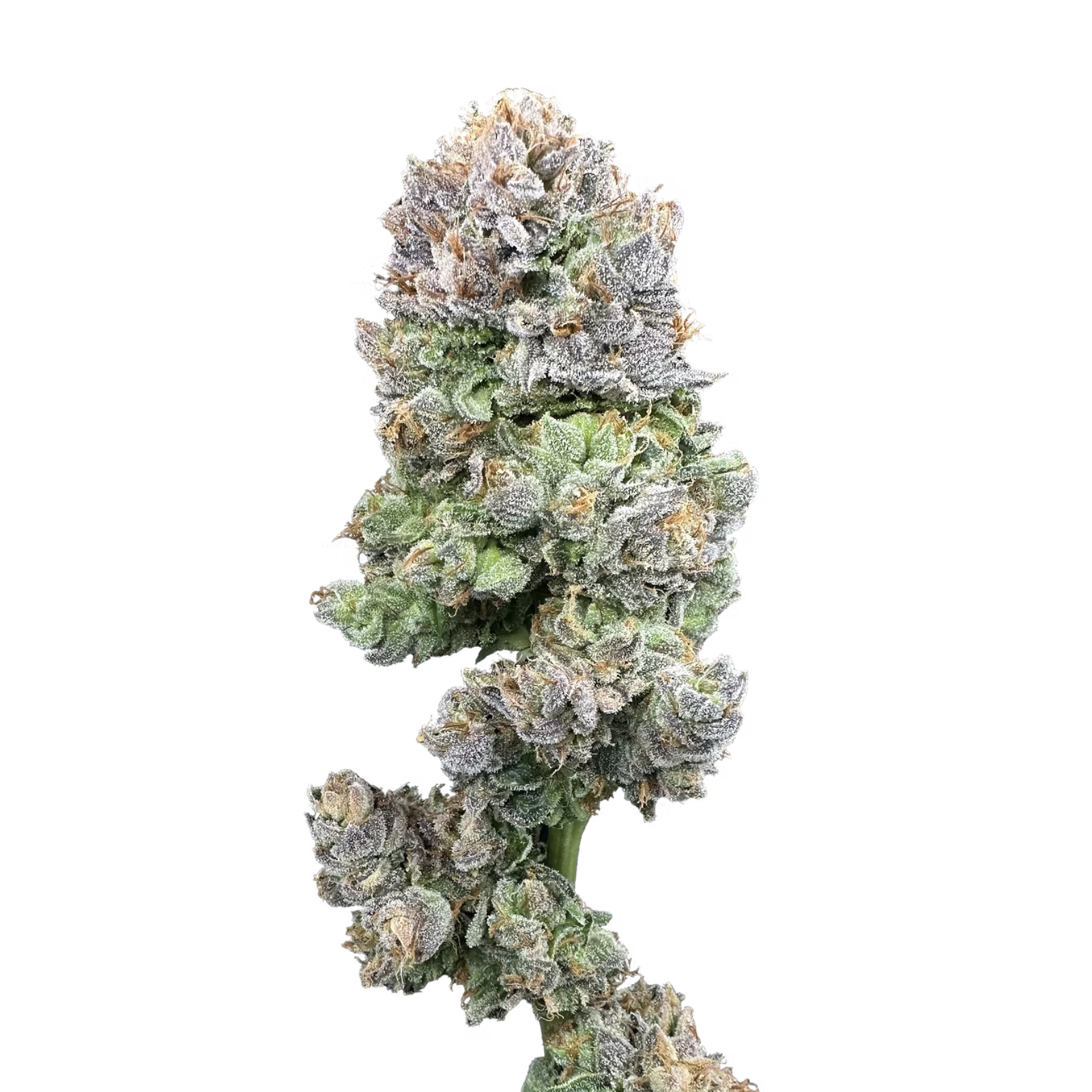 Photograph of product: Catpiss | Trifecta Farms - 14g