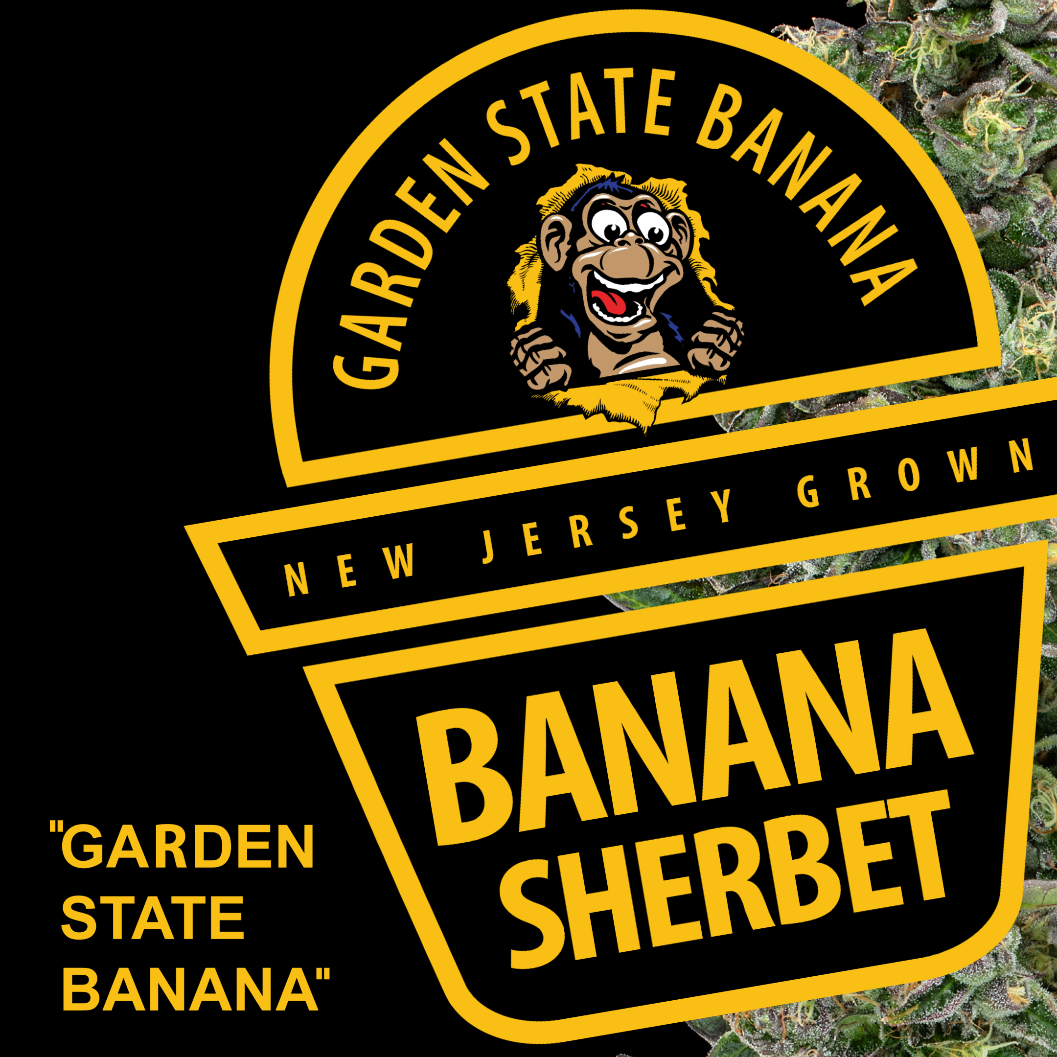 Photograph of product: Garden Greens Banana Sherbert Pre-roll (REC)