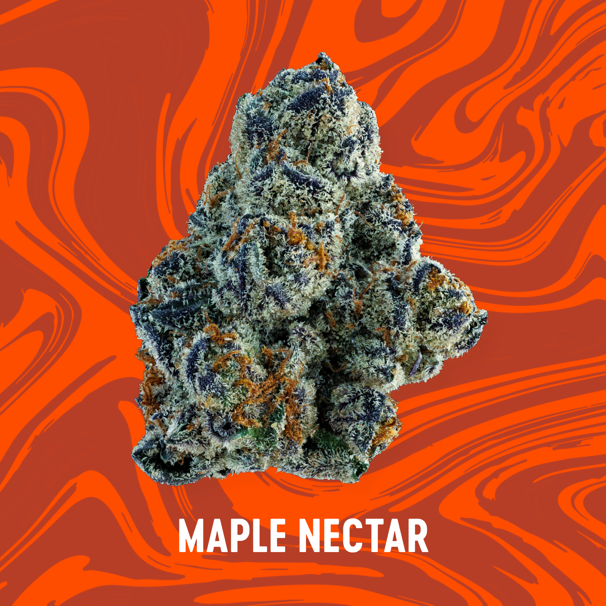 Photograph of product: Vivid - Maple Nectar - Deli Flower - 56g