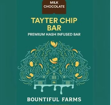 Photograph of product: Tayter Chip Chocolate Bar | 100mg