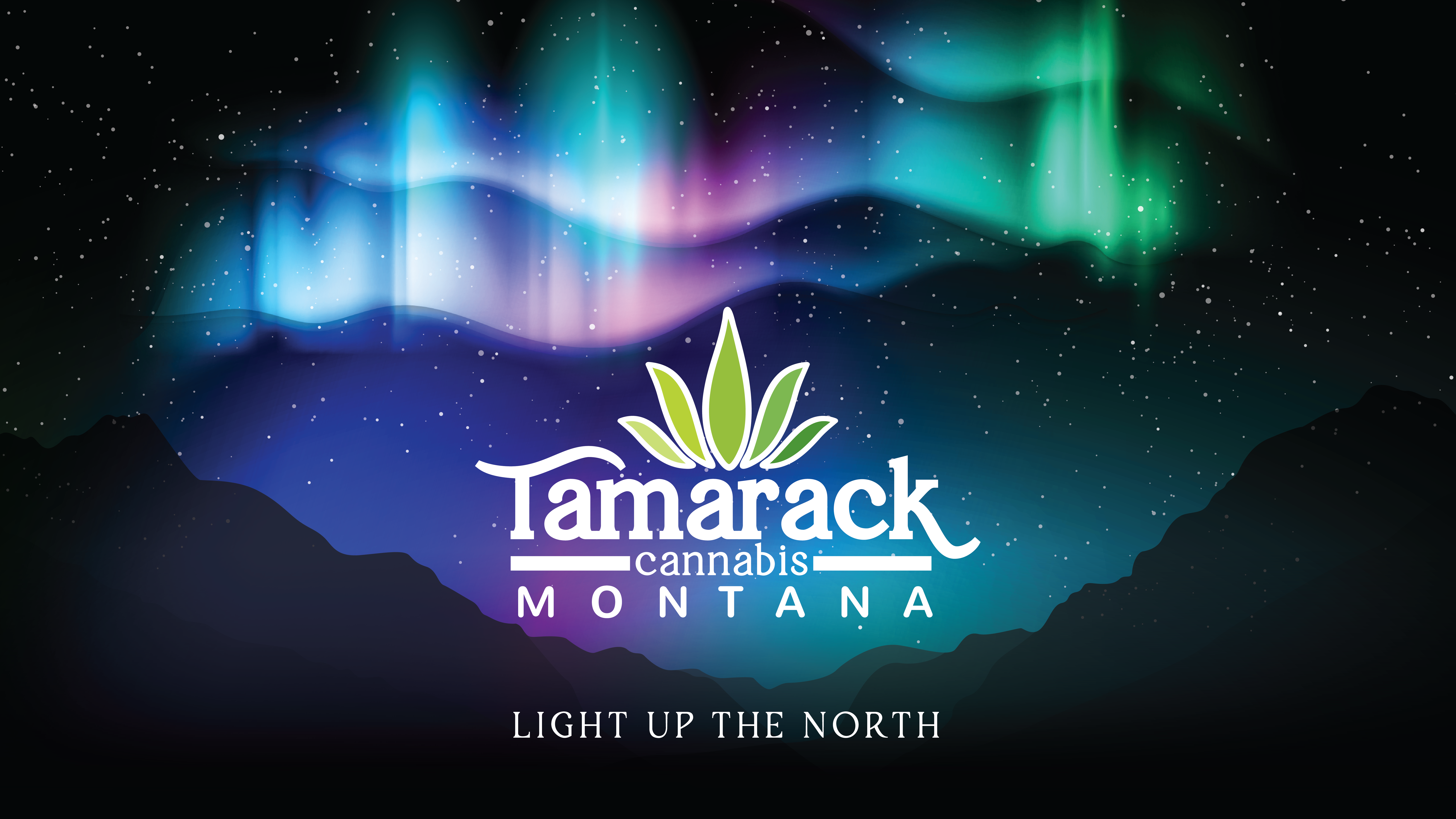 Photograph of Product: Tamarack Accessories - - Fleece Blanket $28
