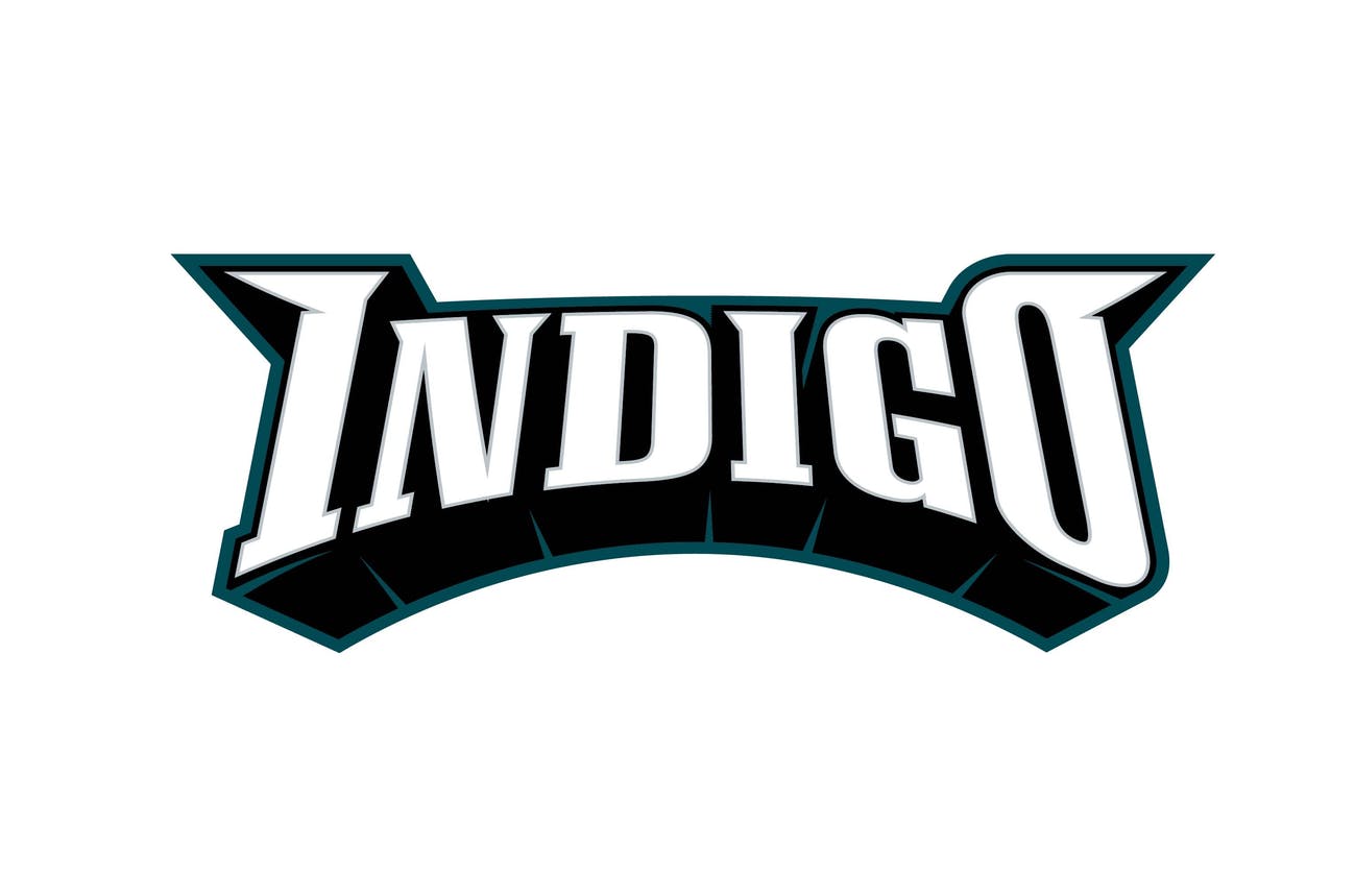 Photograph of product: Indigo Eagles Logo T-shirt